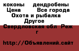 коконы    дендробены › Цена ­ 25 - Все города Охота и рыбалка » Другое   . Свердловская обл.,Реж г.